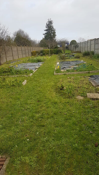 Vue du jardin Bichat