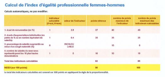 Déclaration de l’index égalité professionnelle femmes-hommes