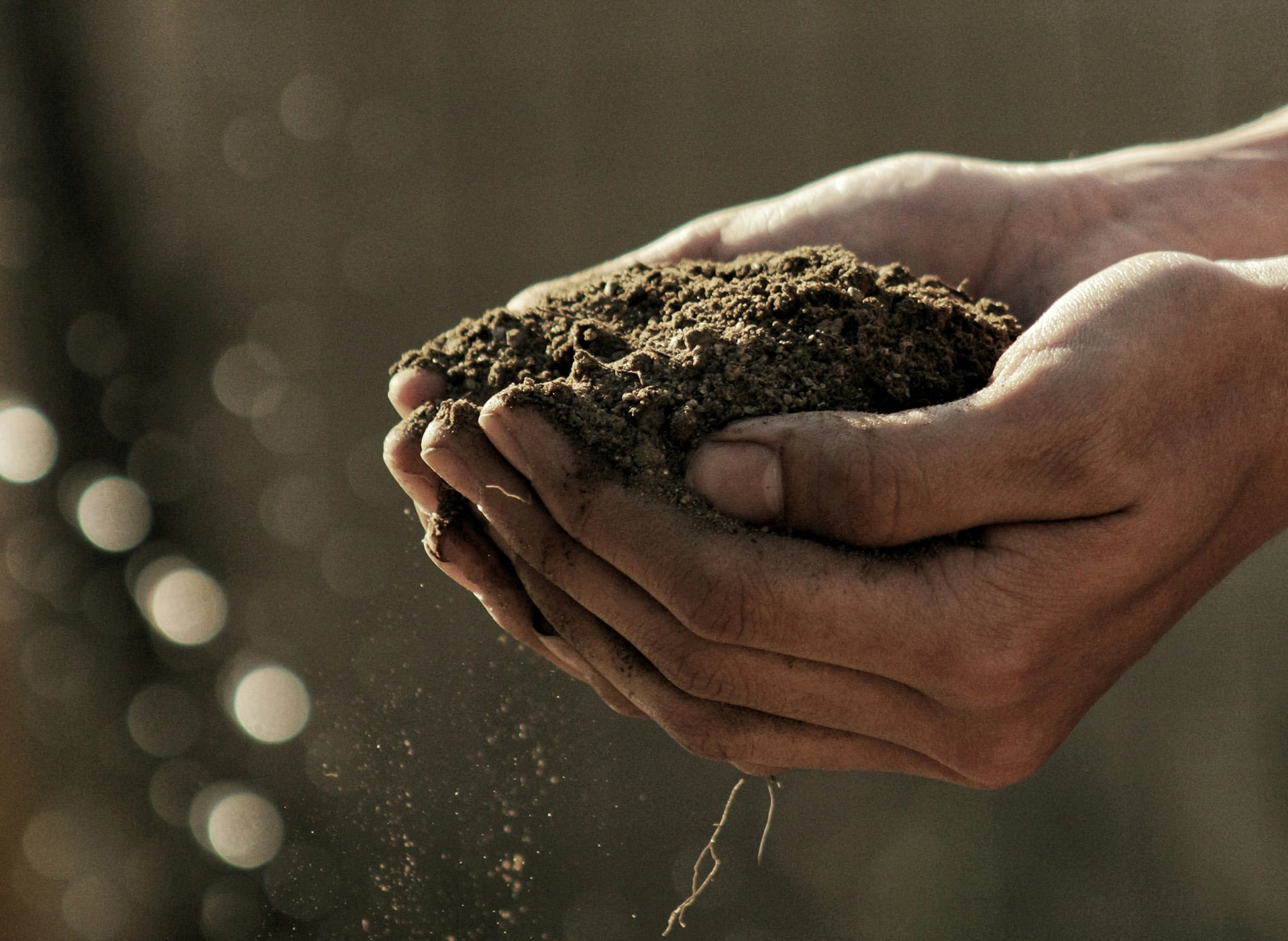 Mise en Route de son potager