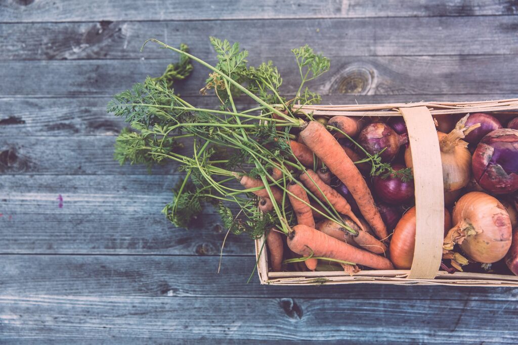 Récoltes de légumes de mon potager